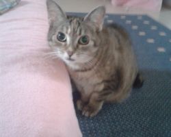 Weibi und Jeanny